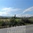  Land for sale in Chacabuco, Santiago, Colina, Chacabuco