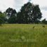  Land for sale in Los Rios, Lanco, Valdivia, Los Rios