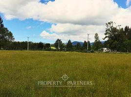  Land for sale in Los Rios, Lanco, Valdivia, Los Rios