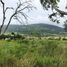  Land for sale in San Fernando, Chiapas, San Fernando
