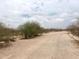  Land for sale in Torreon, Coahuila, Torreon