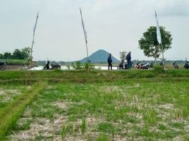  Land for sale in Jenggawah, Jember, Jenggawah