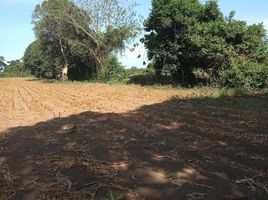  Land for sale in Jamapa, Veracruz, Jamapa