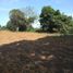  Land for sale in Jamapa, Veracruz, Jamapa