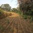  Land for sale in Jamapa, Veracruz, Jamapa