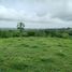  Land for sale in Turbaco, Bolivar, Turbaco, Bolivar