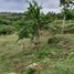  Land for sale in Turbaco, Bolivar, Turbaco