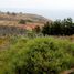  Terreno (Parcela) en venta en Chile, Algarrobo, San Antonio, Valparaíso, Chile