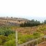  Terreno (Parcela) en venta en Chile, Algarrobo, San Antonio, Valparaíso, Chile