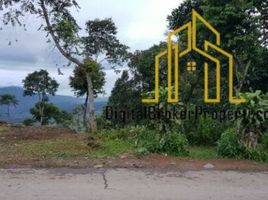  Land for sale in Bogor, West Jawa, Citeureup, Bogor