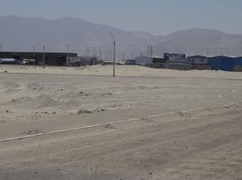  Land for rent in Chile, Mejillones, Antofagasta, Antofagasta, Chile