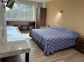 Estudio Apartamento en alquiler en Zapopan, Jalisco, Zapopan, Jalisco