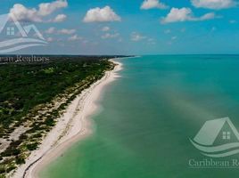  Grundstück zu verkaufen in Celestun, Yucatan, Celestun