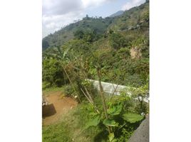 2 Bedroom House for sale in Colombia, Dosquebradas, Risaralda, Colombia