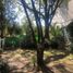  토지을(를) Cuajimalpa De Morelos, 멕시코 시티에서 판매합니다., Cuajimalpa De Morelos