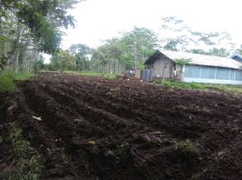  Terreno (Parcela) en venta en Ngaglik, Yogyakarta, Ngaglik