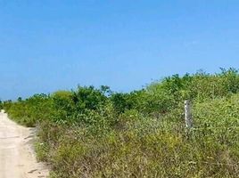  Grundstück zu verkaufen in Progreso, Yucatan, Progreso