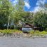 4 chambre Maison for rent in Cautin, Araucania, Villarrica, Cautin
