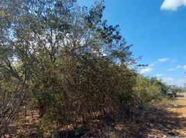 Terrain à vendre à Uman, Yucatan, Uman
