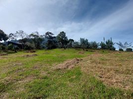  Land for sale in El Carmen De Viboral, Antioquia, El Carmen De Viboral