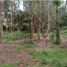  Terreno (Parcela) en venta en La Ceja, Antioquia, La Ceja, Antioquia