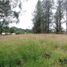  Terreno (Parcela) en venta en La Ceja, Antioquia, La Ceja, Antioquia