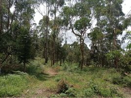  Terreno (Parcela) en venta en La Ceja, Antioquia, La Ceja, Antioquia