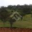  Terreno (Parcela) en venta en Melipilla, Santiago, Curacavi, Melipilla