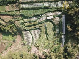  Grundstück zu verkaufen in Padalarang, West Jawa, Padalarang, Bandung, West Jawa, Indonesien