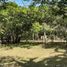  Land for sale in Calamba City, Calabarzon, Calamba City