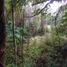 Land for sale in Los Lagos, Puerto Montt, Llanquihue, Los Lagos