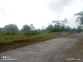  Land for sale in Purworejo, Jawa Tengah, Purworejo, Purworejo