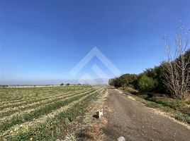  Land for sale in Chile, Colina, Chacabuco, Santiago, Chile