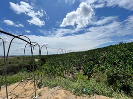 Estudio Villa en venta en Santa Elena, Chanduy, Santa Elena, Santa Elena