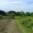  Terreno (Parcela) en venta en San Andres Tuxtla, Veracruz, San Andres Tuxtla