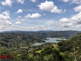 3 Schlafzimmer Villa zu verkaufen in Retiro, Antioquia, Retiro