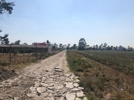  Grundstück zu verkaufen in Almoloya De Juarez, Mexico, Almoloya De Juarez