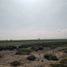  Land for sale in Ajacuba, Hidalgo, Ajacuba