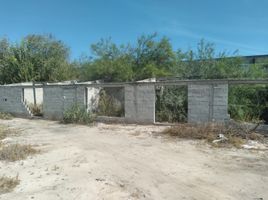  Land for sale in Torreon, Coahuila, Torreon