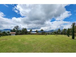  Land for sale in La Ceja, Antioquia, La Ceja