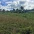  Land for sale in Nulti, Cuenca, Nulti