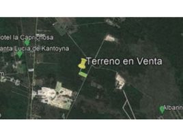 Terrain à vendre à Yaxkukul, Yucatan, Yaxkukul