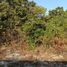  Land for sale in Carmen, Campeche, Carmen