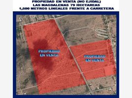  Land for sale in Gomez Palacio, Durango, Gomez Palacio