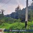  Terreno (Parcela) en venta en Xico, Veracruz, Xico, Veracruz