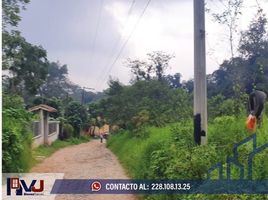  Terreno (Parcela) en venta en Xico, Veracruz, Xico, Veracruz