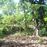  Land for sale in Ubud, Gianyar, Ubud