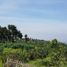  Land for sale in Malang Regency, East Jawa, Bumiaji, Malang Regency