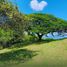  Land for sale in Andalucia, Valle Del Cauca, Andalucia