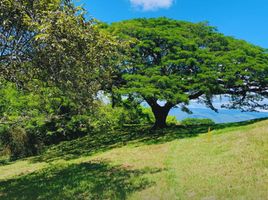  Terreno (Parcela) en venta en Andalucia, Valle Del Cauca, Andalucia